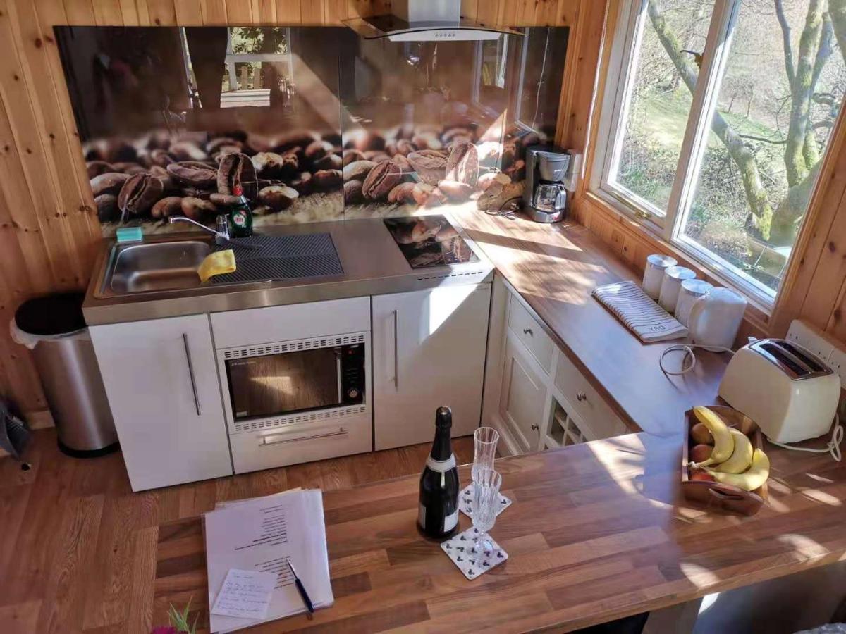 Villa Treeside Woodhouse à Hawkshead Extérieur photo