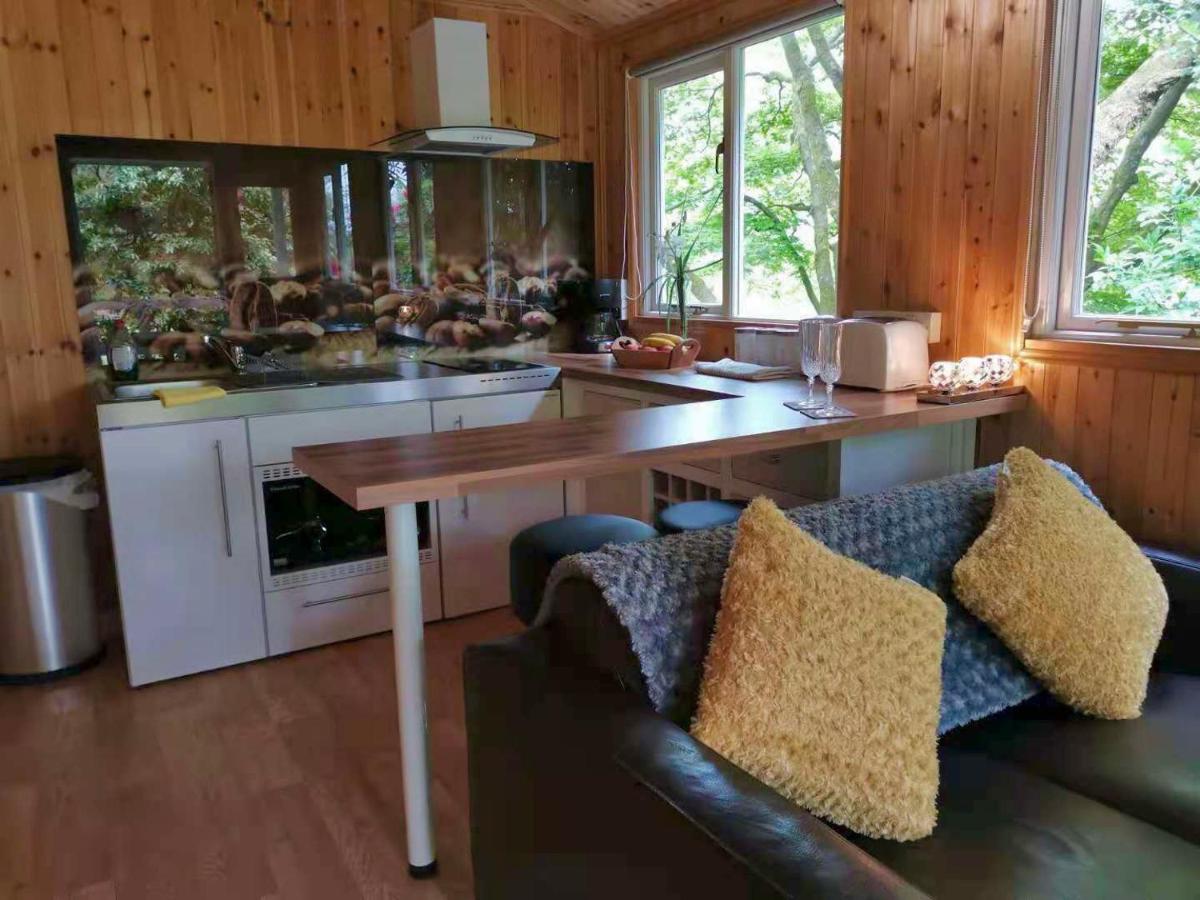 Villa Treeside Woodhouse à Hawkshead Extérieur photo